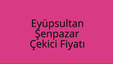 Eyüpsultan Çekici Fiyatı - Şenpazar Oto Kurtarıcı Ücreti Eyüpsultan Çekici Fiyatı – Şenpazar Oto Kurtarıcı Ücreti