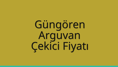 Güngören Çekici Fiyatı - Arguvan Oto Kurtarıcı Ücreti Güngören Çekici Fiyatı – Arguvan Oto Kurtarıcı Ücreti