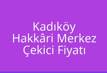 Kadıköy Çekici Fiyatı – Hakkâri Merkez Oto Kurtarıcı Ücreti
