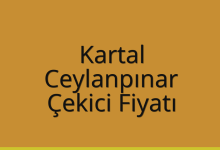 Kartal Çekici Fiyatı – Ceylanpınar Oto Kurtarıcı Ücreti