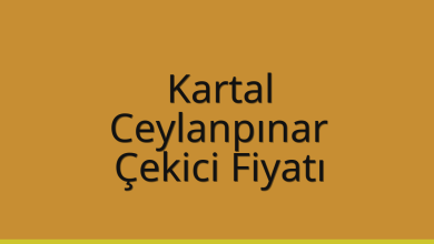 Kartal Çekici Fiyatı – Ceylanpınar Oto Kurtarıcı Ücreti
