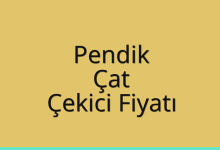 Pendik Çekici Fiyatı – Çat Oto Kurtarıcı Ücreti