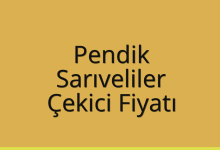 Pendik Çekici Fiyatı – Sarıveliler Oto Kurtarıcı Ücreti