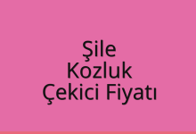 Şile Çekici Fiyatı – Kozluk Oto Kurtarıcı Ücreti