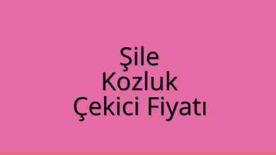 Şile Çekici Fiyatı – Kozluk Oto Kurtarıcı Ücreti