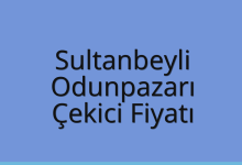 Sultanbeyli Çekici Fiyatı – Odunpazarı Oto Kurtarıcı Ücreti