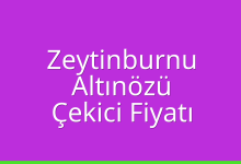 Zeytinburnu Çekici Fiyatı – Altınözü Oto Kurtarıcı Ücreti