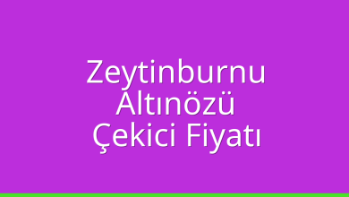 Zeytinburnu Çekici Fiyatı – Altınözü Oto Kurtarıcı Ücreti