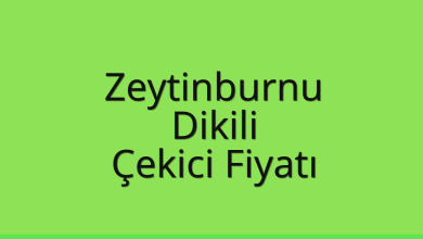 Zeytinburnu Çekici Fiyatı – Dikili Oto Kurtarıcı Ücreti