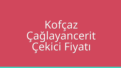 Kofçaz Çekici Fiyatı - Çağlayancerit Oto Kurtarıcı Ücreti Kofçaz Çekici Fiyatı – Çağlayancerit Oto Kurtarıcı Ücreti