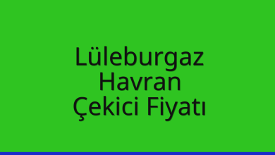 Lüleburgaz Çekici Fiyatı - Havran Oto Kurtarıcı Ücreti Lüleburgaz Çekici Fiyatı – Havran Oto Kurtarıcı Ücreti
