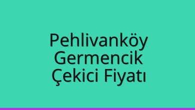 Pehlivanköy Çekici Fiyatı - Germencik Oto Kurtarıcı Ücreti Pehlivanköy Çekici Fiyatı – Germencik Oto Kurtarıcı Ücreti