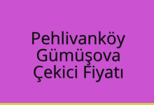 Pehlivanköy Çekici Fiyatı – Gümüşova Oto Kurtarıcı Ücreti