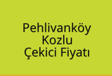 Pehlivanköy Çekici Fiyatı – Kozlu Oto Kurtarıcı Ücreti