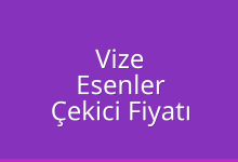 Vize Çekici Fiyatı – Esenler Oto Kurtarıcı Ücreti
