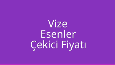 Vize Çekici Fiyatı – Esenler Oto Kurtarıcı Ücreti