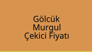 Gölcük Çekici Fiyatı – Murgul Oto Kurtarıcı Ücreti