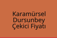 Karamürsel Çekici Fiyatı – Dursunbey Oto Kurtarıcı Ücreti