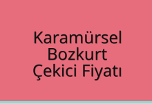 Karamürsel Çekici Fiyatı – Bozkurt Oto Kurtarıcı Ücreti