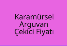 Karamürsel Çekici Fiyatı – Arguvan Oto Kurtarıcı Ücreti
