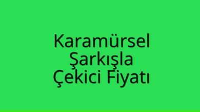 Karamürsel Çekici Fiyatı – Şarkışla Oto Kurtarıcı Ücreti
