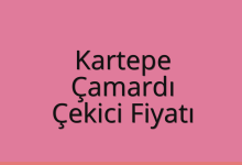 Kartepe Çekici Fiyatı – Çamardı Oto Kurtarıcı Ücreti