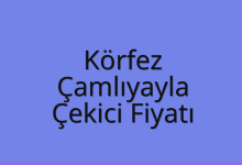 Körfez Çekici Fiyatı – Çamlıyayla Oto Kurtarıcı Ücreti