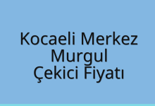 Kocaeli Merkez Çekici Fiyatı – Murgul Oto Kurtarıcı Ücreti