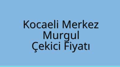 Kocaeli Merkez Çekici Fiyatı – Murgul Oto Kurtarıcı Ücreti