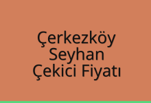 Çerkezköy Çekici Fiyatı – Seyhan Oto Kurtarıcı Ücreti