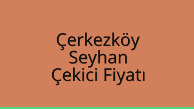 Çerkezköy Çekici Fiyatı - Seyhan Oto Kurtarıcı Ücreti Çerkezköy Çekici Fiyatı – Seyhan Oto Kurtarıcı Ücreti