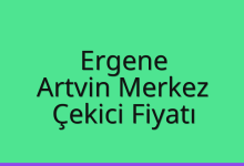 Ergene Çekici Fiyatı – Artvin Merkez Oto Kurtarıcı Ücreti