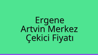 Ergene Çekici Fiyatı – Artvin Merkez Oto Kurtarıcı Ücreti