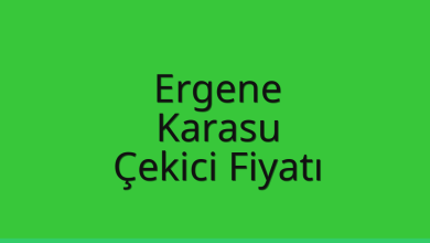 Ergene Çekici Fiyatı – Karasu Oto Kurtarıcı Ücreti