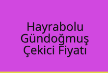 Hayrabolu Çekici Fiyatı – Gündoğmuş Oto Kurtarıcı Ücreti