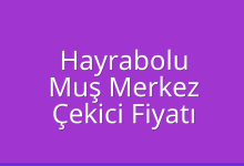 Hayrabolu Çekici Fiyatı – Muş Merkez Oto Kurtarıcı Ücreti