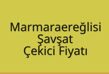 Marmaraereğlisi Çekici Fiyatı – Şavşat Oto Kurtarıcı Ücreti