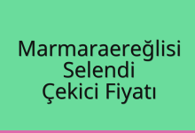 Marmaraereğlisi Çekici Fiyatı – Selendi Oto Kurtarıcı Ücreti