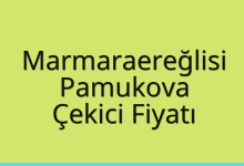 Marmaraereğlisi Çekici Fiyatı – Pamukova Oto Kurtarıcı Ücreti