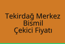 Tekirdağ Merkez Çekici Fiyatı – Bismil Oto Kurtarıcı Ücreti