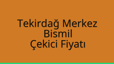 Tekirdağ Merkez Çekici Fiyatı – Bismil Oto Kurtarıcı Ücreti
