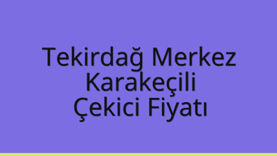 Tekirdağ Merkez Çekici Fiyatı - Karakeçili Oto Kurtarıcı Ücreti Tekirdağ Merkez Çekici Fiyatı – Karakeçili Oto Kurtarıcı Ücreti