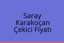 Saray Çekici Fiyatı – Karakoçan Oto Kurtarıcı Ücreti