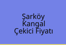 Şarköy Çekici Fiyatı – Kangal Oto Kurtarıcı Ücreti
