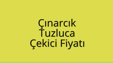 Çınarcık Çekici Fiyatı – Tuzluca Oto Kurtarıcı Ücreti