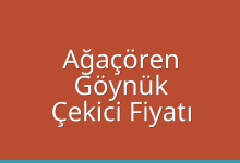 Ağaçören Çekici Fiyatı – Göynük Oto Kurtarıcı Ücreti