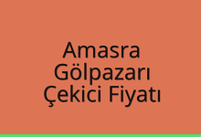 Amasra Çekici Fiyatı – Gölpazarı Oto Kurtarıcı Ücreti