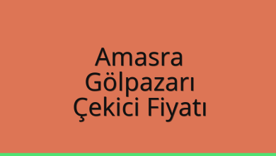 Amasra Çekici Fiyatı - Gölpazarı Oto Kurtarıcı Ücreti Amasra Çekici Fiyatı – Gölpazarı Oto Kurtarıcı Ücreti