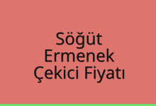 Söğüt Çekici Fiyatı – Ermenek Oto Kurtarıcı Ücreti