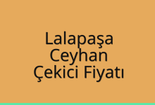 Lalapaşa Çekici Fiyatı – Ceyhan Oto Kurtarıcı Ücreti